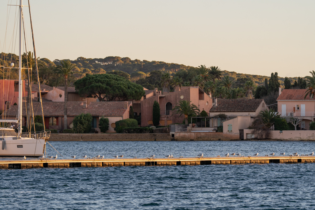 navette ile porquerolles