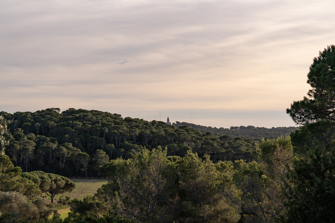 paysage porquerolles 1