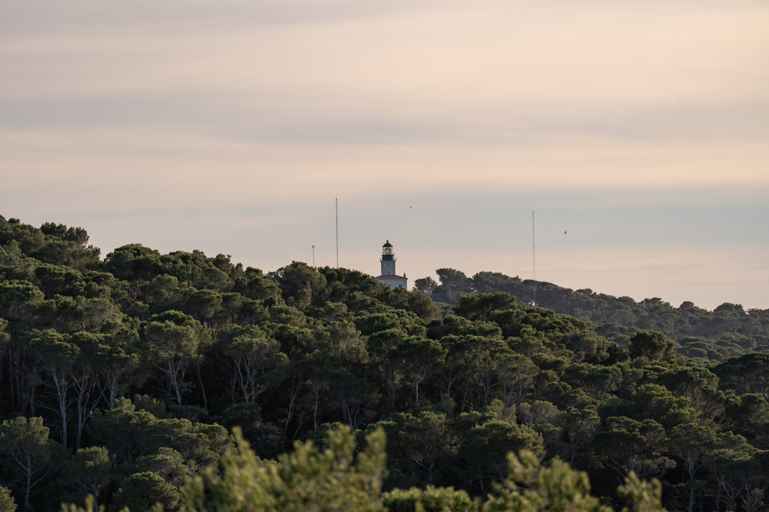 paysage porquerolles